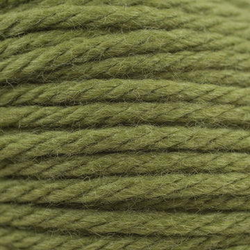 Clary (61103)