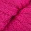 Fuchsia (33)