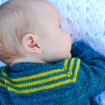 Weehistoric Cardigan