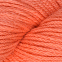 Living Coral (1001)