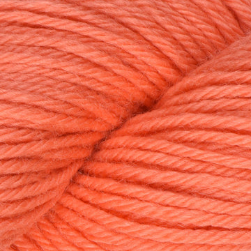 Living Coral (1001)