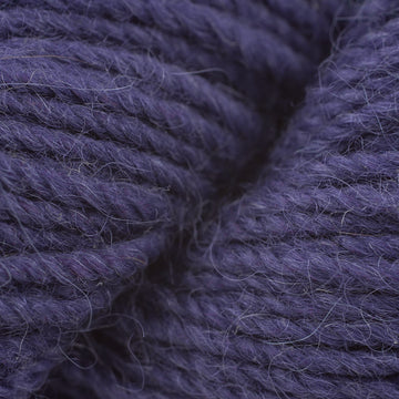 Concord Grape (42112)