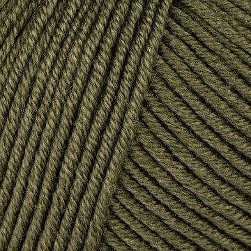 Olive (454)