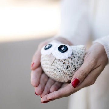 Owlbert, The Amigurumi Owl