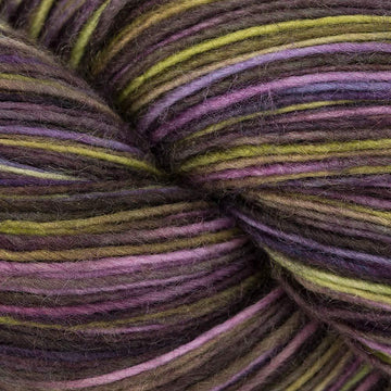 Hummingbird (246)