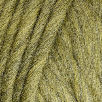 Turtle Heather (0754)