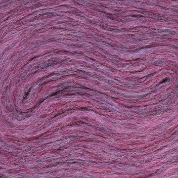 Hyacinth Heather (1429)