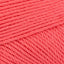 Coral (1574)