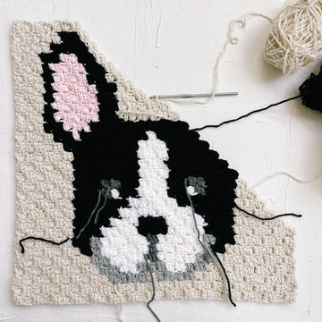C2C French Bulldog / Boston Terrier Dog Blanket Square