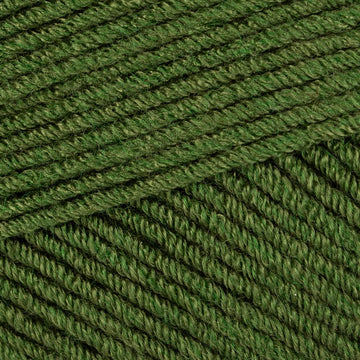 Fern (3546)