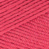 Rhubarb (457)