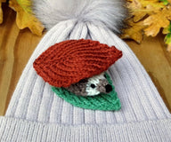 Hibernating Hedgehog - Ferrero Rocher Cover
