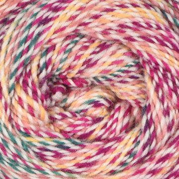 Tulip (104)