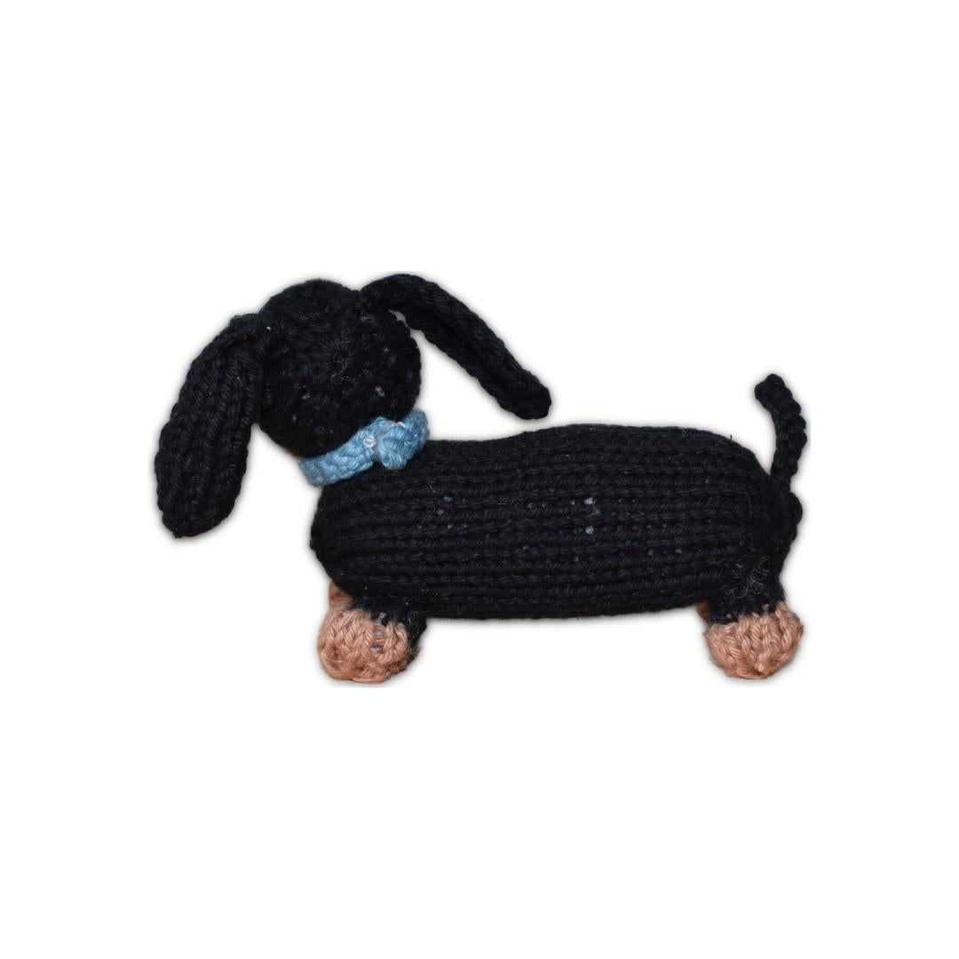 Dachshund Puppy