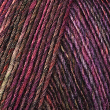 Lady's Slipper (6889)