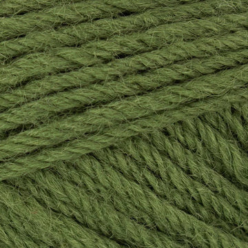 Yew (1282)