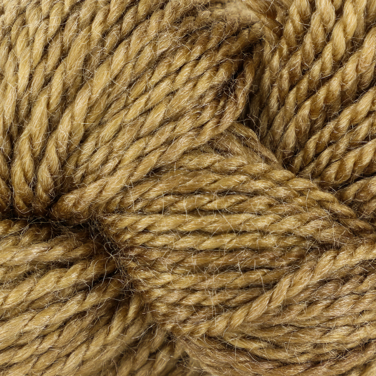 Dream in Color Suzette