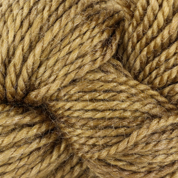 Dream in Color Suzette