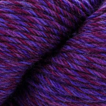 Petunia (118)