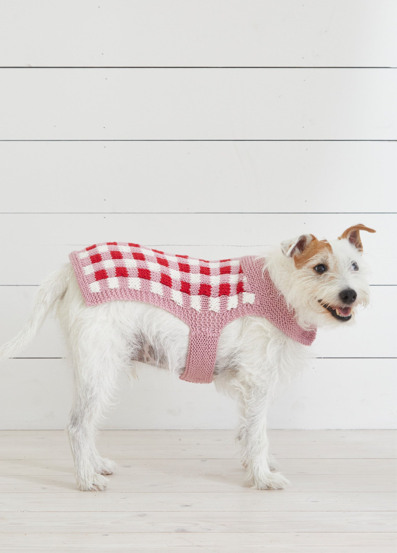 Debbie Bliss Picnic Pooch Knitting Pattern