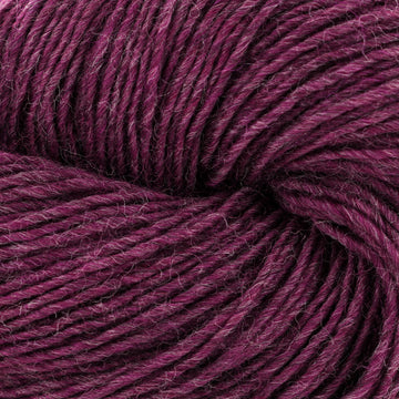 Pressed Grapes (2307)
