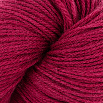 Raspberry