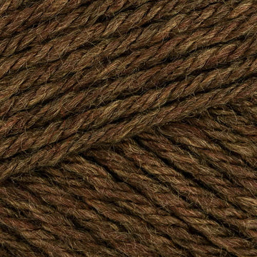 Bracken (2666)