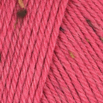 Beet (921)