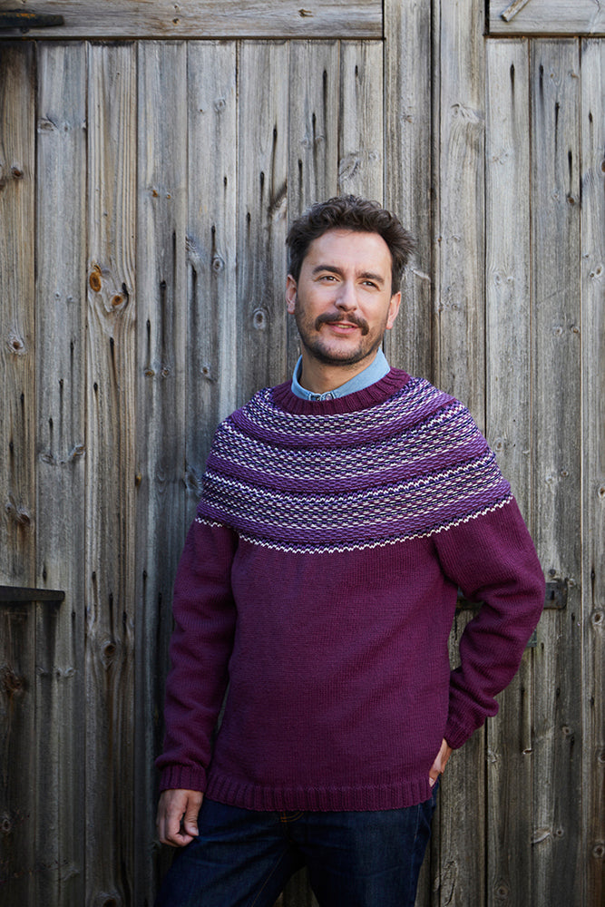 Debbie Bliss Robyn PDF