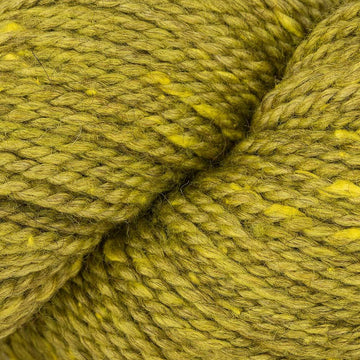 Kelp (AC130)