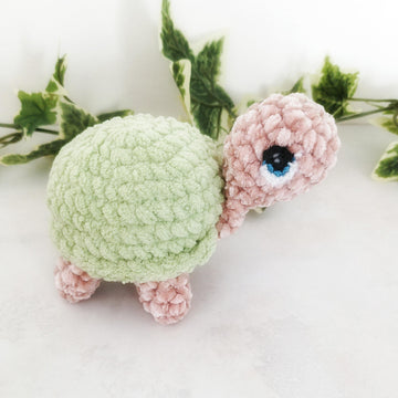 Toby and Tilly Tortoise