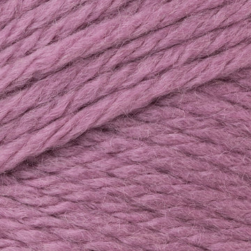 Mauve Orchid (89)