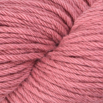 Rose (114)