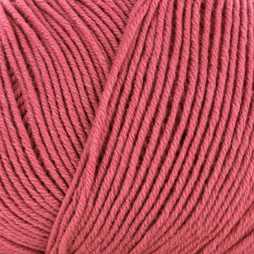 Deep Rose (309962)