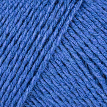 Kingfisher Blue (61)
