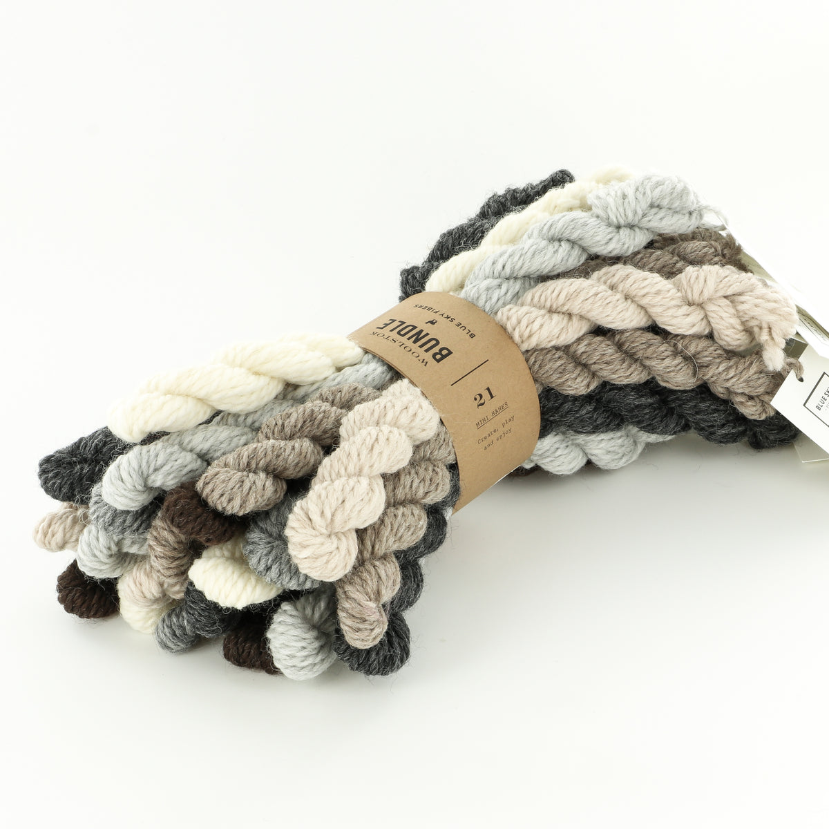 Blue Sky Fibers Woolstok Mini Hank Bundle Yarn - Wool Worsted