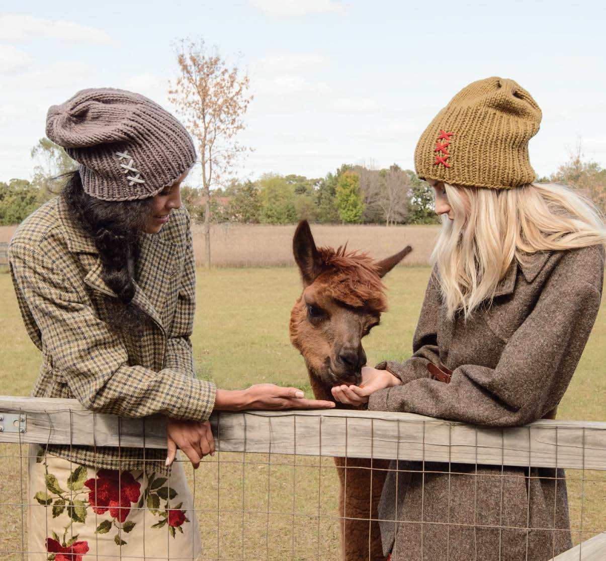 Blue Sky Fibers Glidden Hat Knitting Pattern