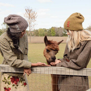 Blue Sky Fibers Glidden Hat Knitting Pattern