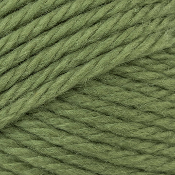 Moss (76)
