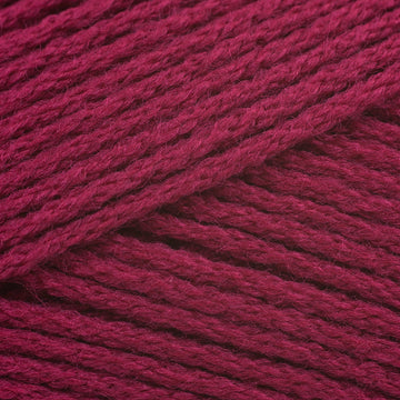 Pimpernel (2742)