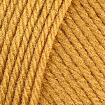 Medallion (13)