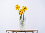 Deramores Daffodils Decoration Crochet Pattern