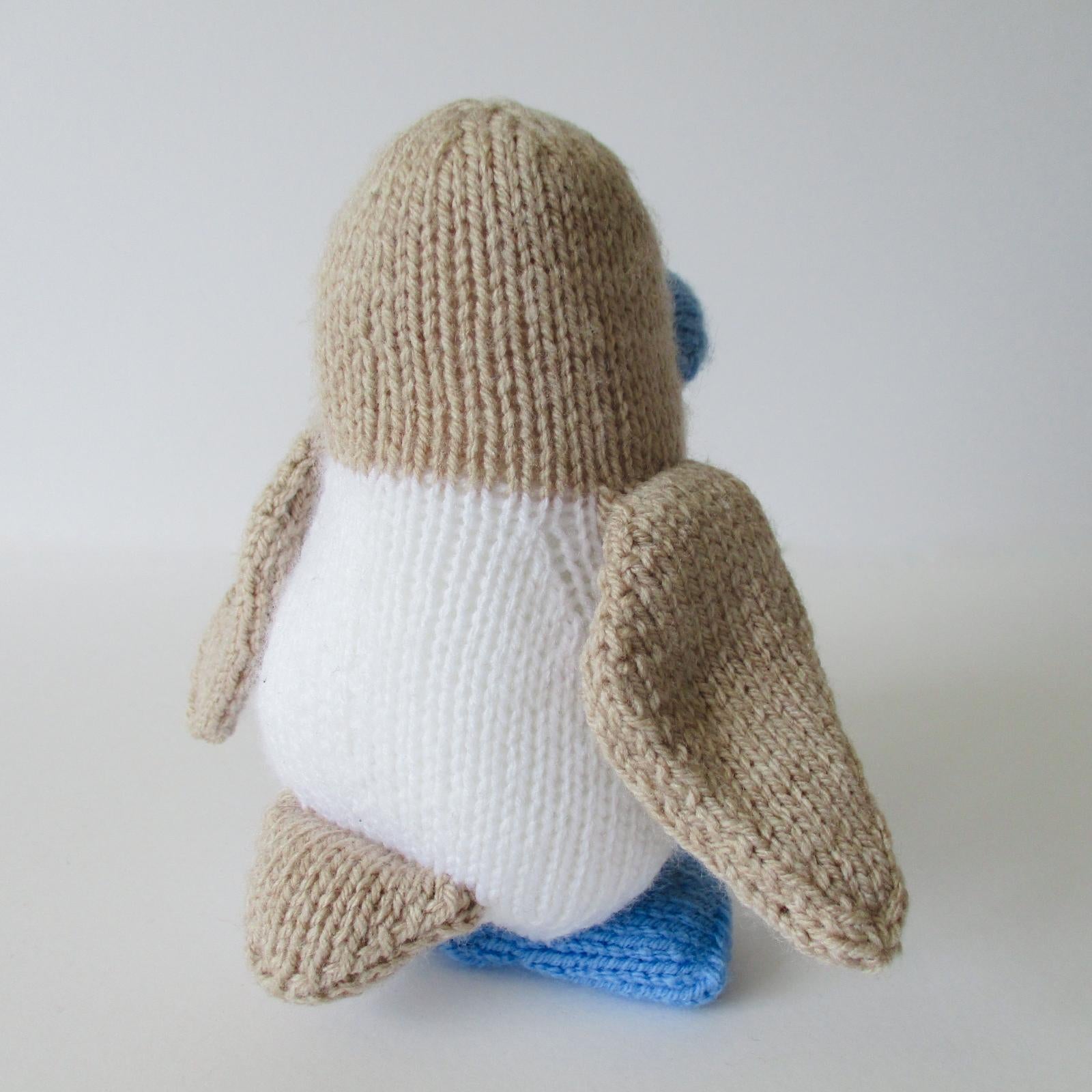 Blue Footed Booby Bird