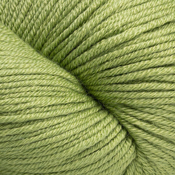 Fern (09)