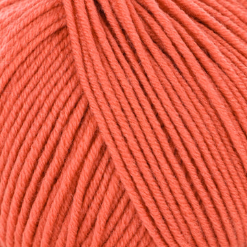 Coral Brandy (106)