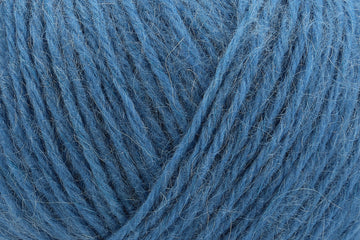 Blue Hydrangea (00903)