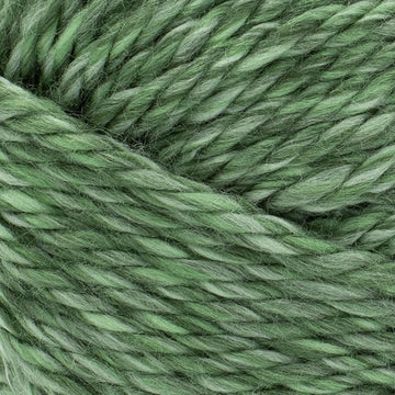 Everglades (135-241G)