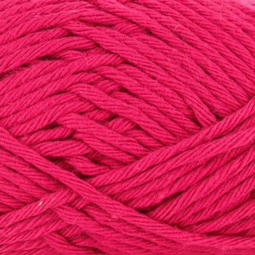 Fuchsia (25)