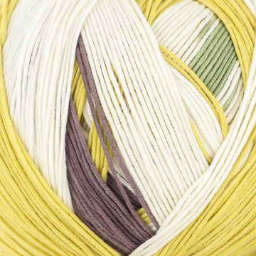 Orange, Purple, Turquoise (204)