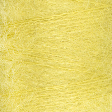 Lemon (21)